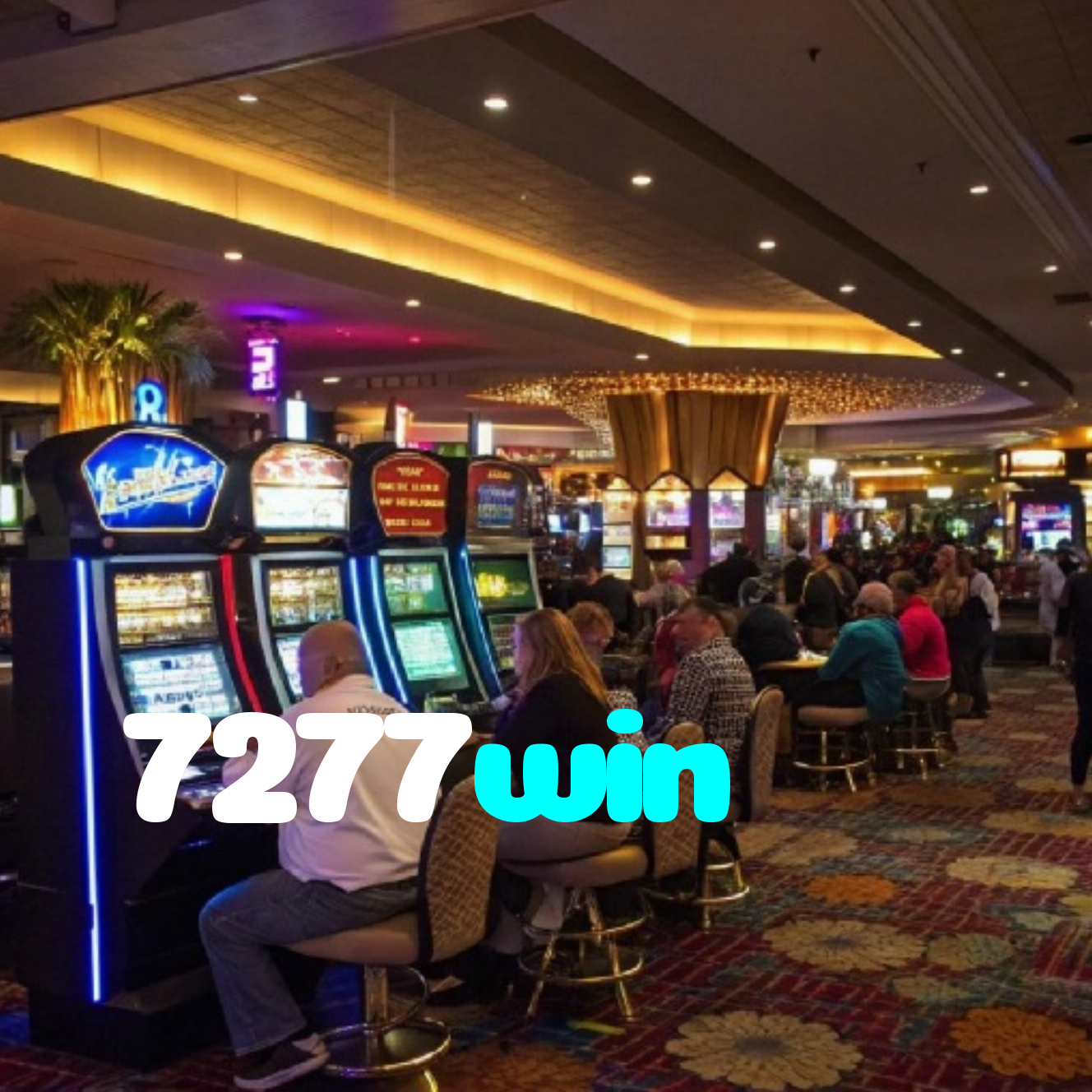 7277win